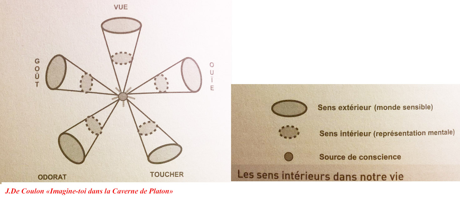 Les deux directions possibles de notre attention perceptiove 